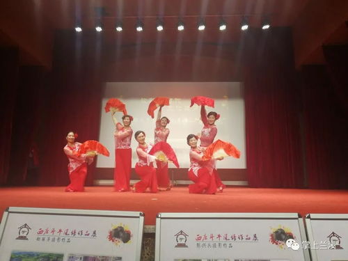 文化惠風(fēng)暖鄉(xiāng)間——記蘭溪市水鳥文化藝術(shù)團(tuán)2019新春“百臺(tái)村晚”之行